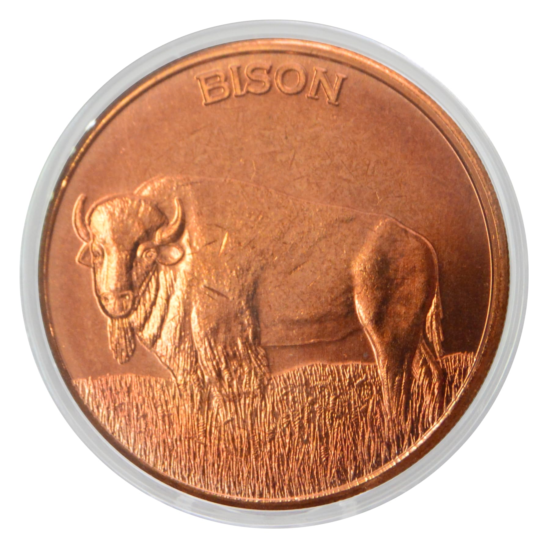 Amazon.com: Bison 1 oz Pure .999 Copper Round Bullion Coin in